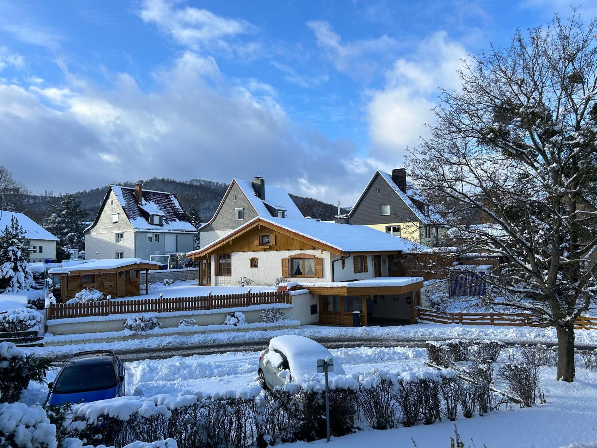 Appartement Kleine Auszeit Am Wildgehege à Bad Harzburg Extérieur photo